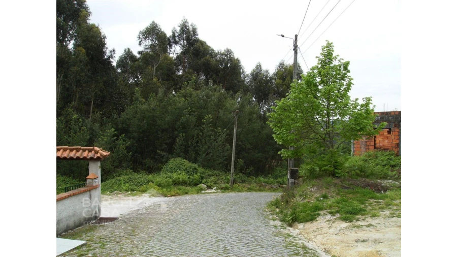 Terreno para Venda em Aldreu Foto 4