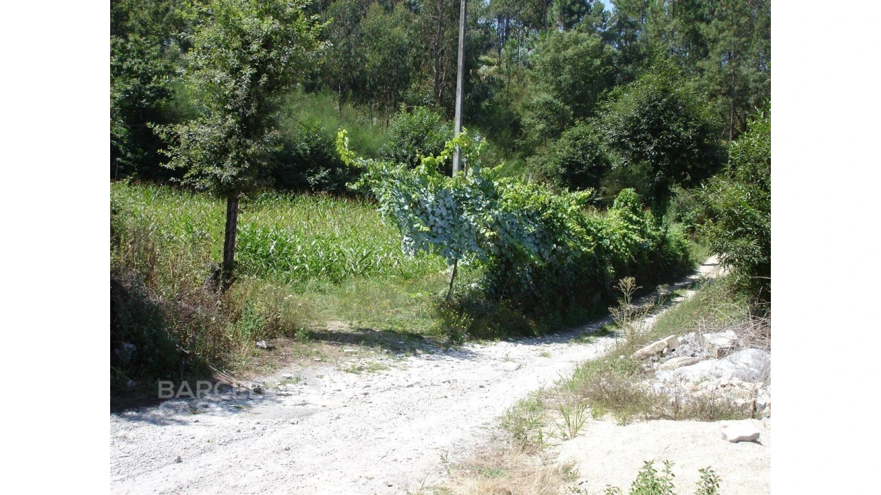 Terreno para Venda em Areias de Vilar e Encourados Foto 6