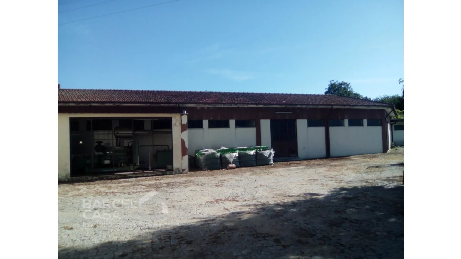 Armazém para Venda em Barcelos, V.Boa, V.Frescainha Foto 3