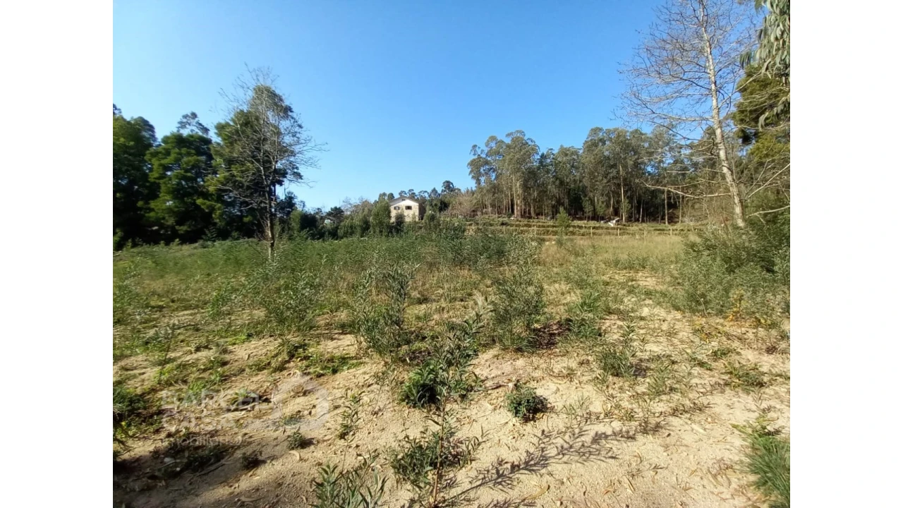 Terreno para Venda em Creixomil e Mariz Foto 10