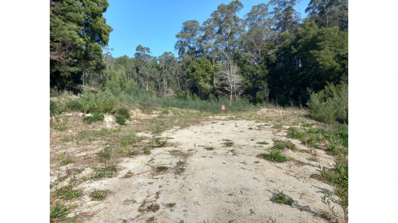 Terreno para Venda em Creixomil e Mariz Foto 15