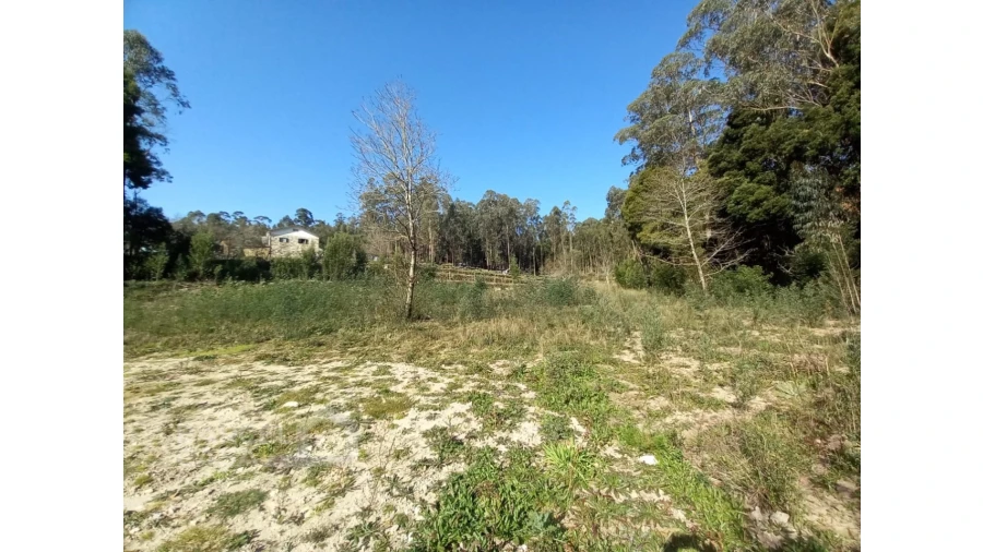 Terreno para Venda em Creixomil e Mariz Foto 12