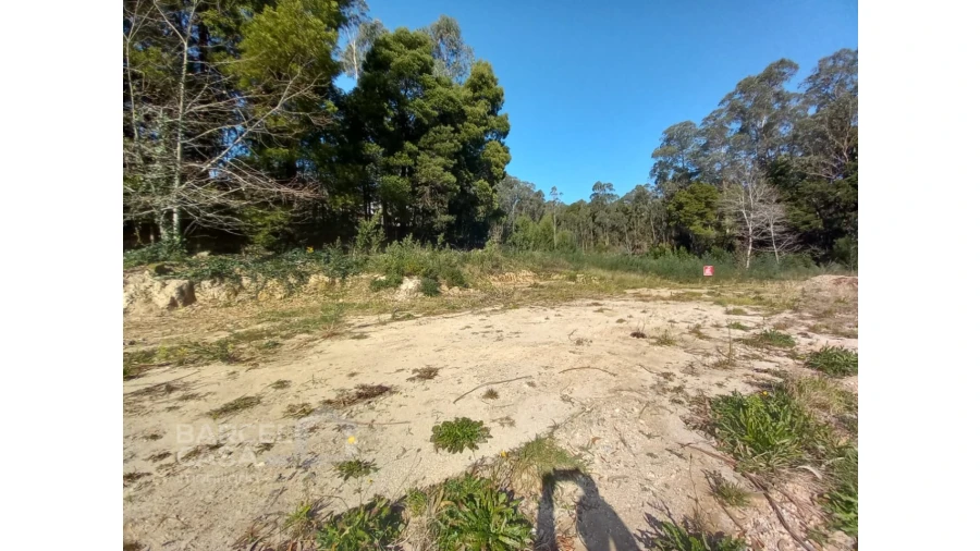 Terreno para Venda em Creixomil e Mariz Foto 13