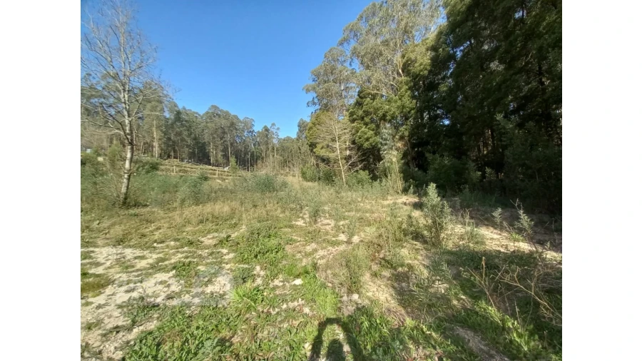 Terreno para Venda em Creixomil e Mariz Foto 14