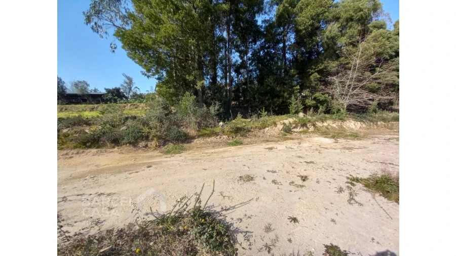 Terreno para Venda em Creixomil e Mariz Foto 8