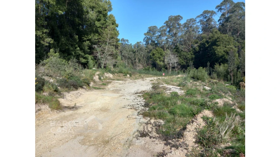 Terreno para Venda em Creixomil e Mariz Foto 4