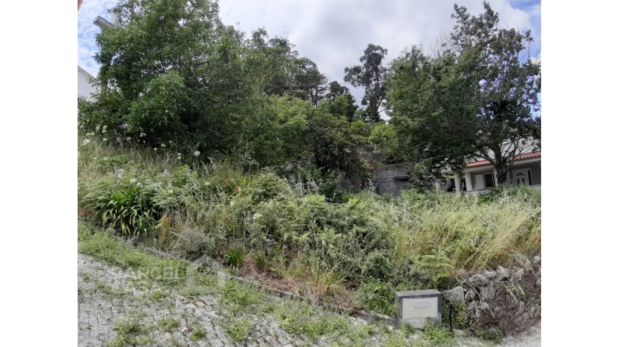 Terreno para Venda em Durrães e Tregosa Foto 3