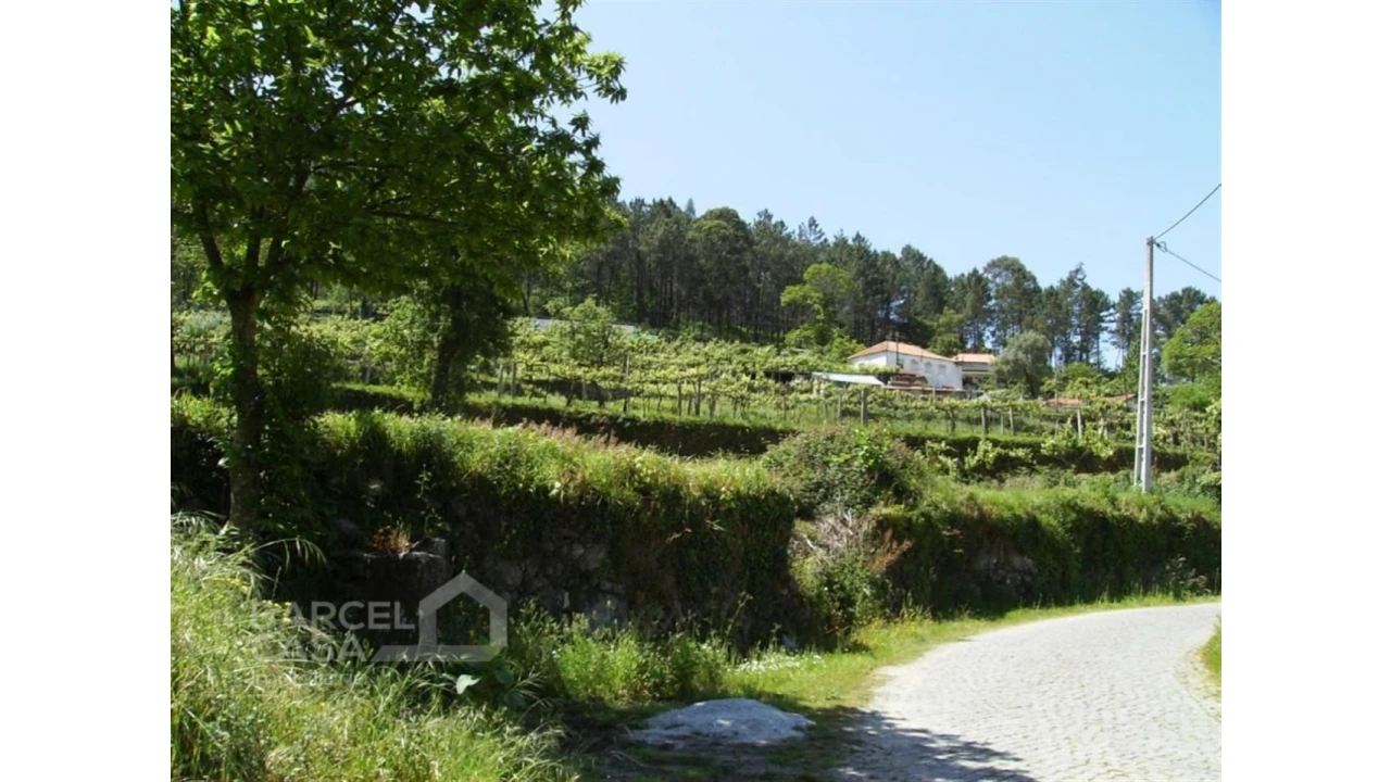 Terreno para Venda em Panque Foto 2