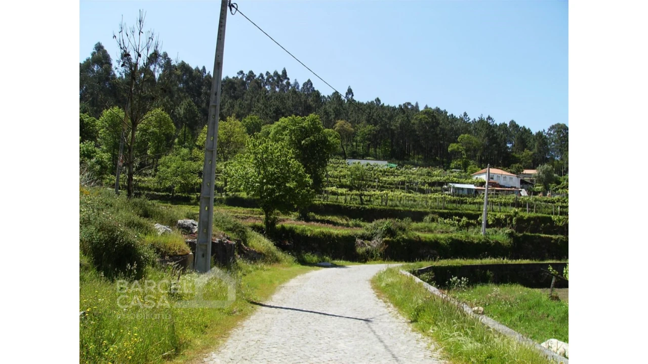 Terreno para Venda em Panque Foto 4