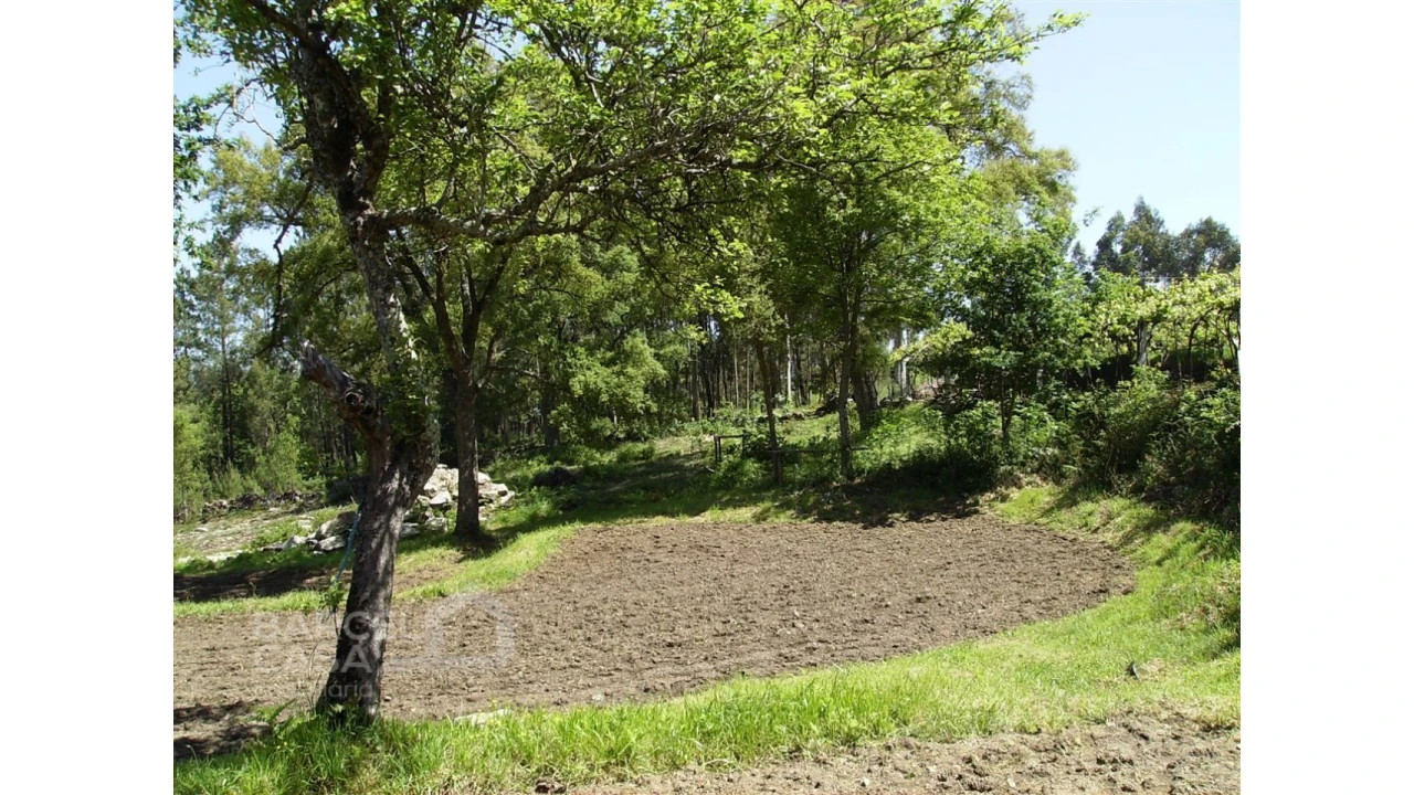 Terreno para Venda em Panque Foto 11