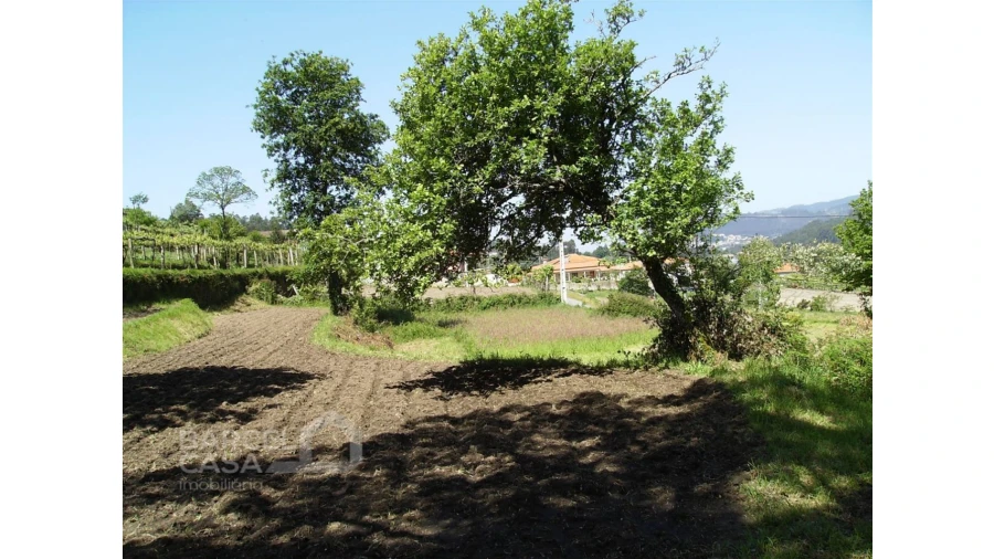Terreno para Venda em Panque Foto 1