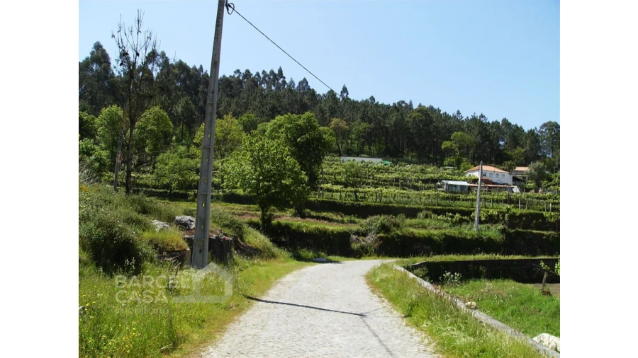 Terreno para Venda em Panque Foto 4