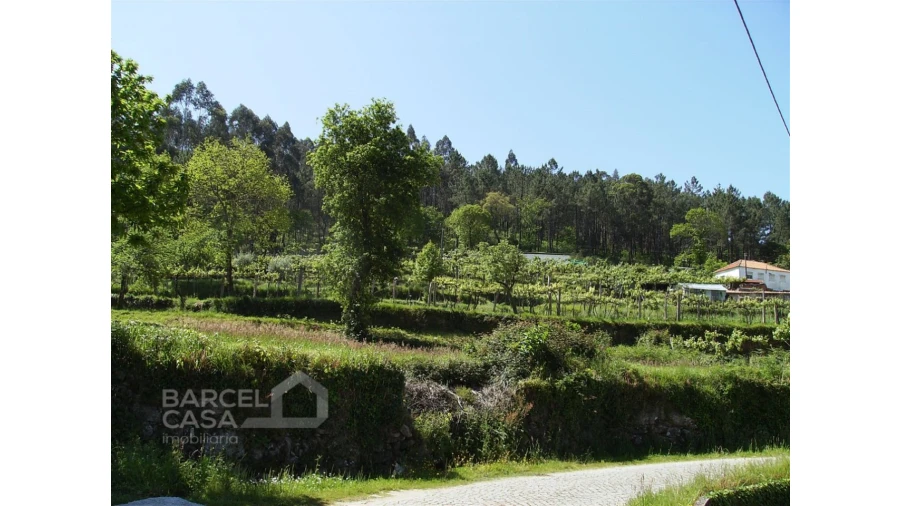 Terreno para Venda em Panque Foto 8