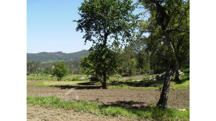 Terreno para Venda em Panque Foto 9