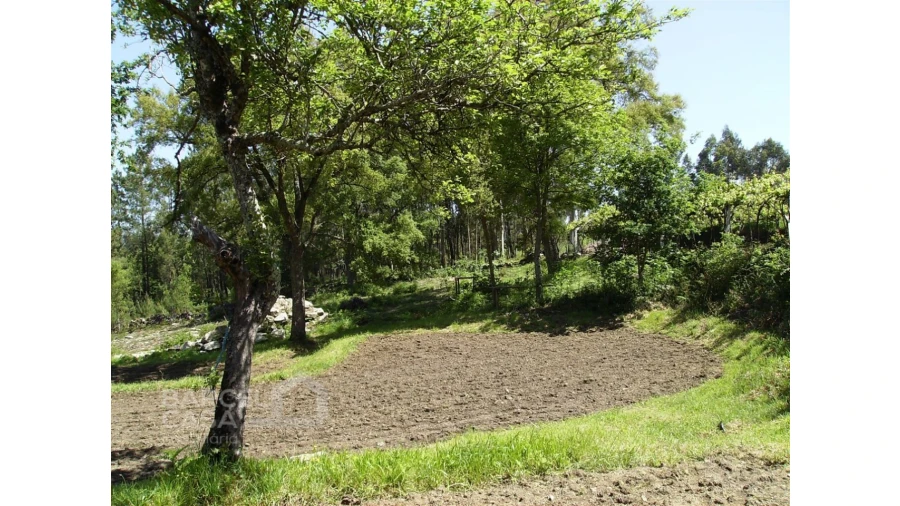 Terreno para Venda em Panque Foto 11