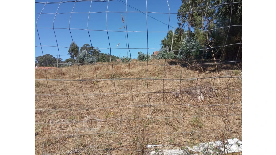 Terreno para Venda em Perelhal Foto 2