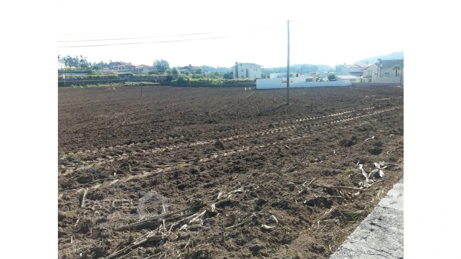 Terreno para Venda em Alvelos Foto 1