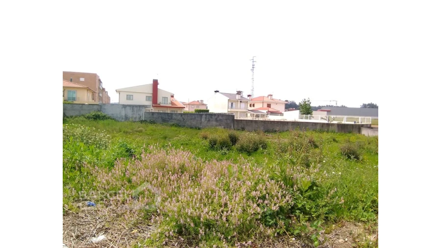 Terreno para Venda em Balazar Foto 2