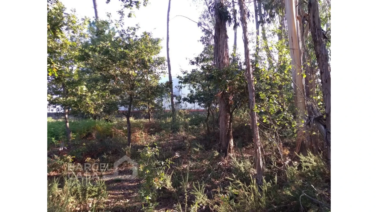 Terreno para Venda em Barcelos, V.Boa, V.Frescainha Foto 3