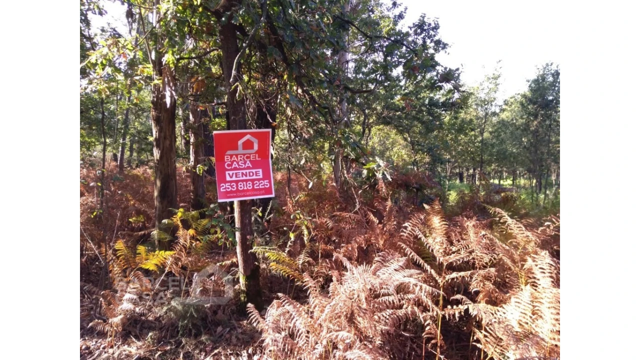 Terreno para Venda em Barcelos, V.Boa, V.Frescainha Foto 4