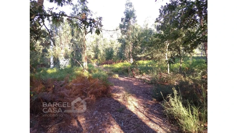 Terreno para Venda em Barcelos, V.Boa, V.Frescainha Foto 5