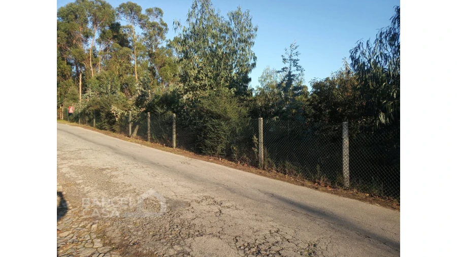 Terreno para Venda em Sequeade e Bastuço (São João e Santo Estêvão) Foto 1