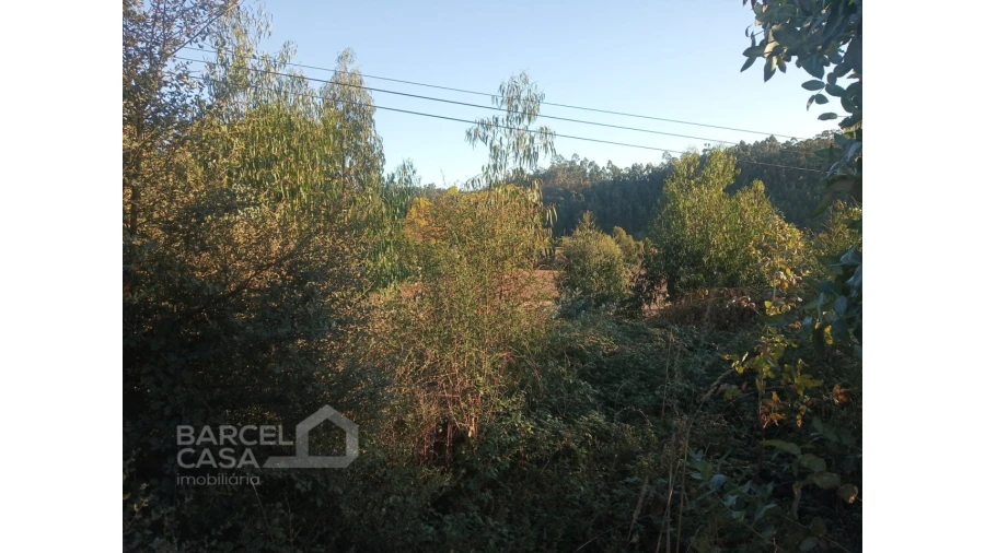 Terreno para Venda em Sequeade e Bastuço (São João e Santo Estêvão) Foto 3