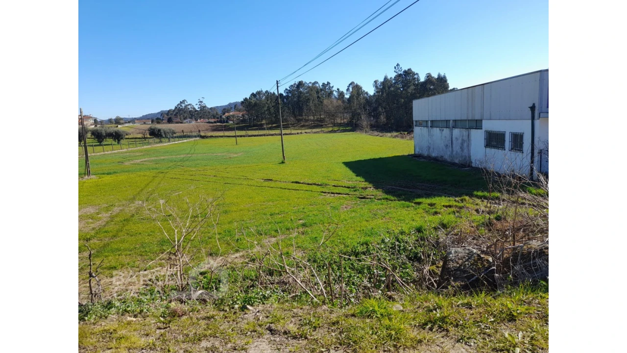 Terreno para Venda em Alvito (São Pedro e São Martinho) e Couto Foto 1