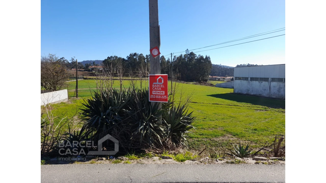 Terreno para Venda em Alvito (São Pedro e São Martinho) e Couto Foto 3