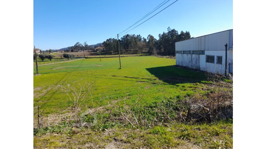 Terreno para Venda em Alvito (São Pedro e São Martinho) e Couto Foto 1
