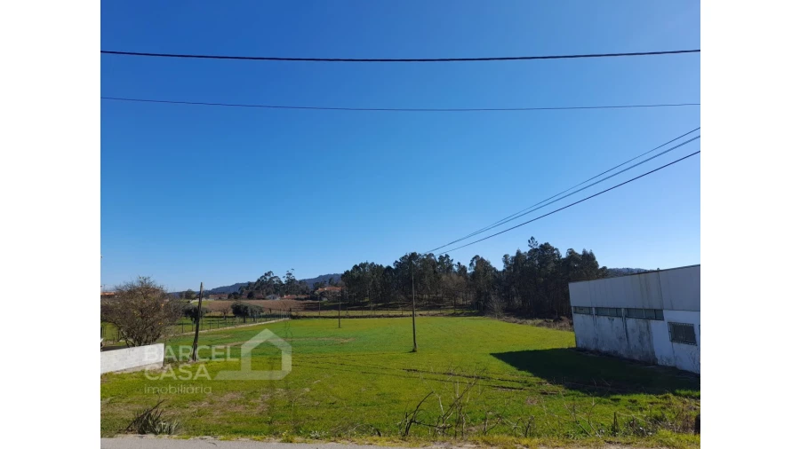 Terreno para Venda em Alvito (São Pedro e São Martinho) e Couto Foto 2