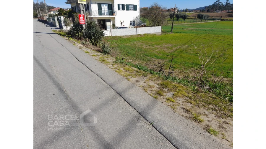 Terreno para Venda em Alvito (São Pedro e São Martinho) e Couto Foto 4