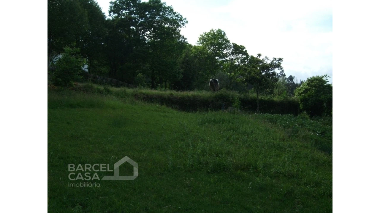 Terreno para Venda em Quintiães e Aguiar Foto 5