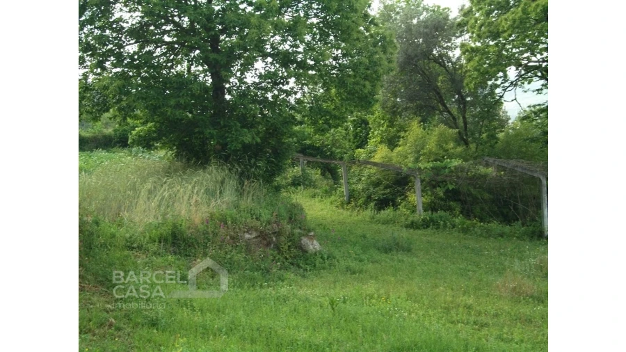 Terreno para Venda em Quintiães e Aguiar Foto 3