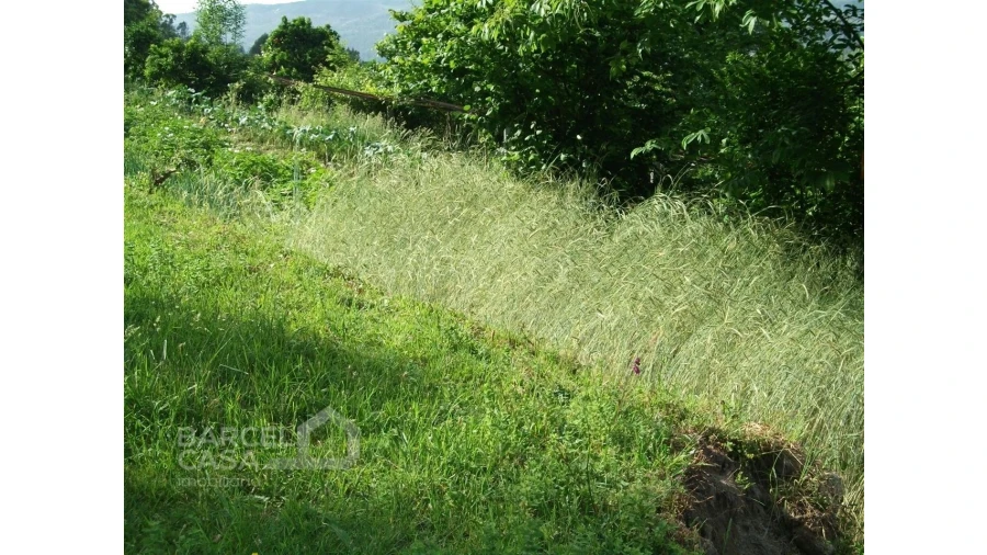 Terreno para Venda em Quintiães e Aguiar Foto 4