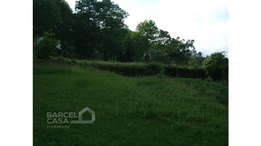 Terreno para Venda em Quintiães e Aguiar Foto 5