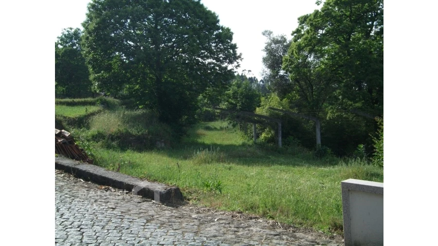 Terreno para Venda em Quintiães e Aguiar Foto 7