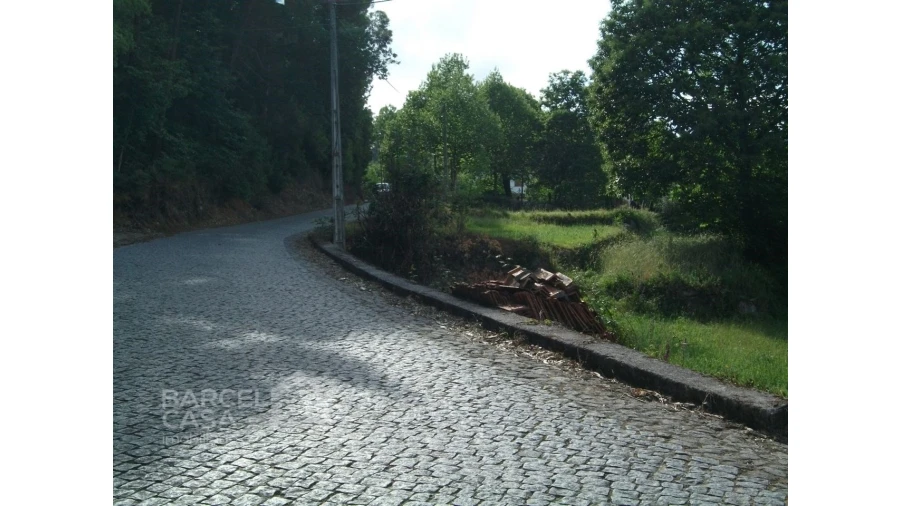 Terreno para Venda em Quintiães e Aguiar Foto 8