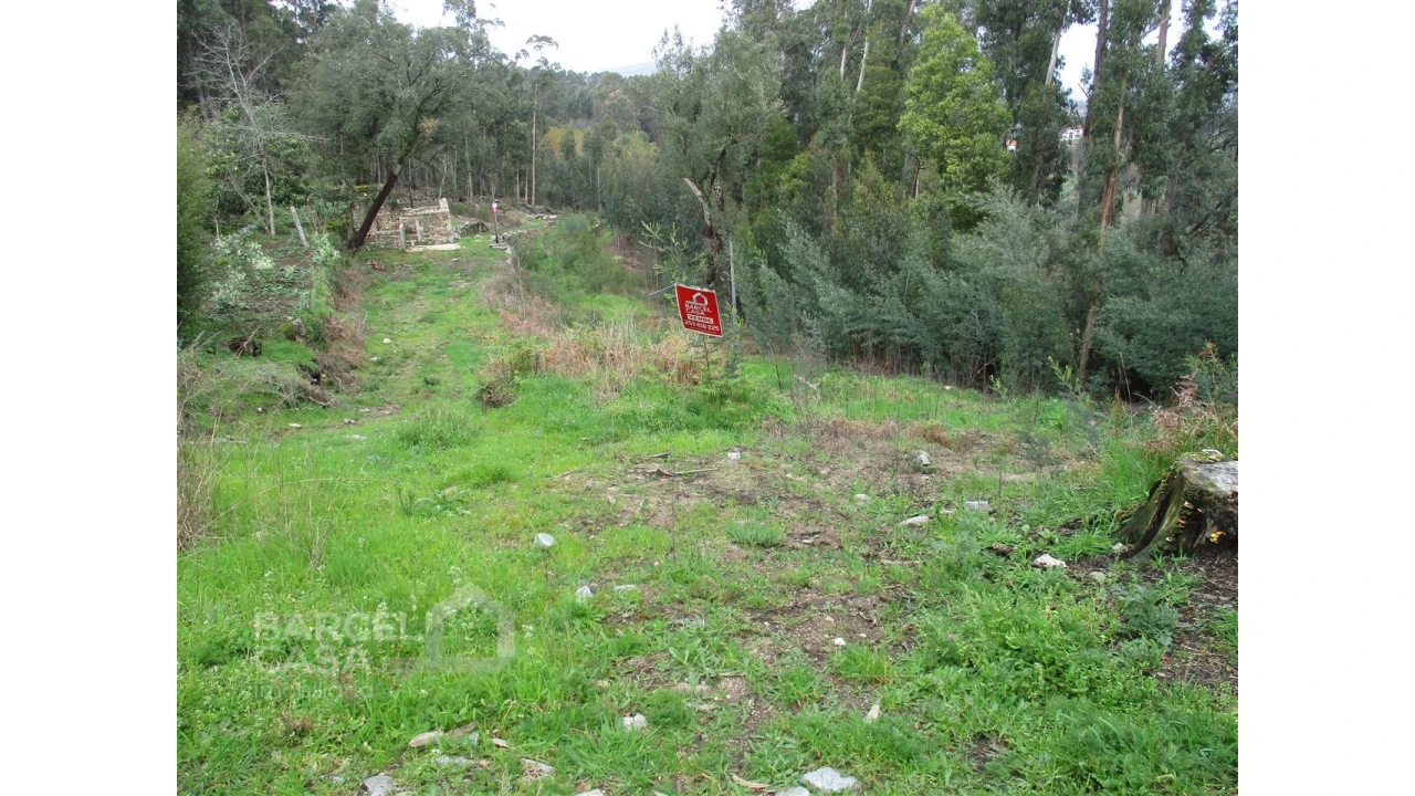 Terreno para Venda em Quintiães e Aguiar Foto 1