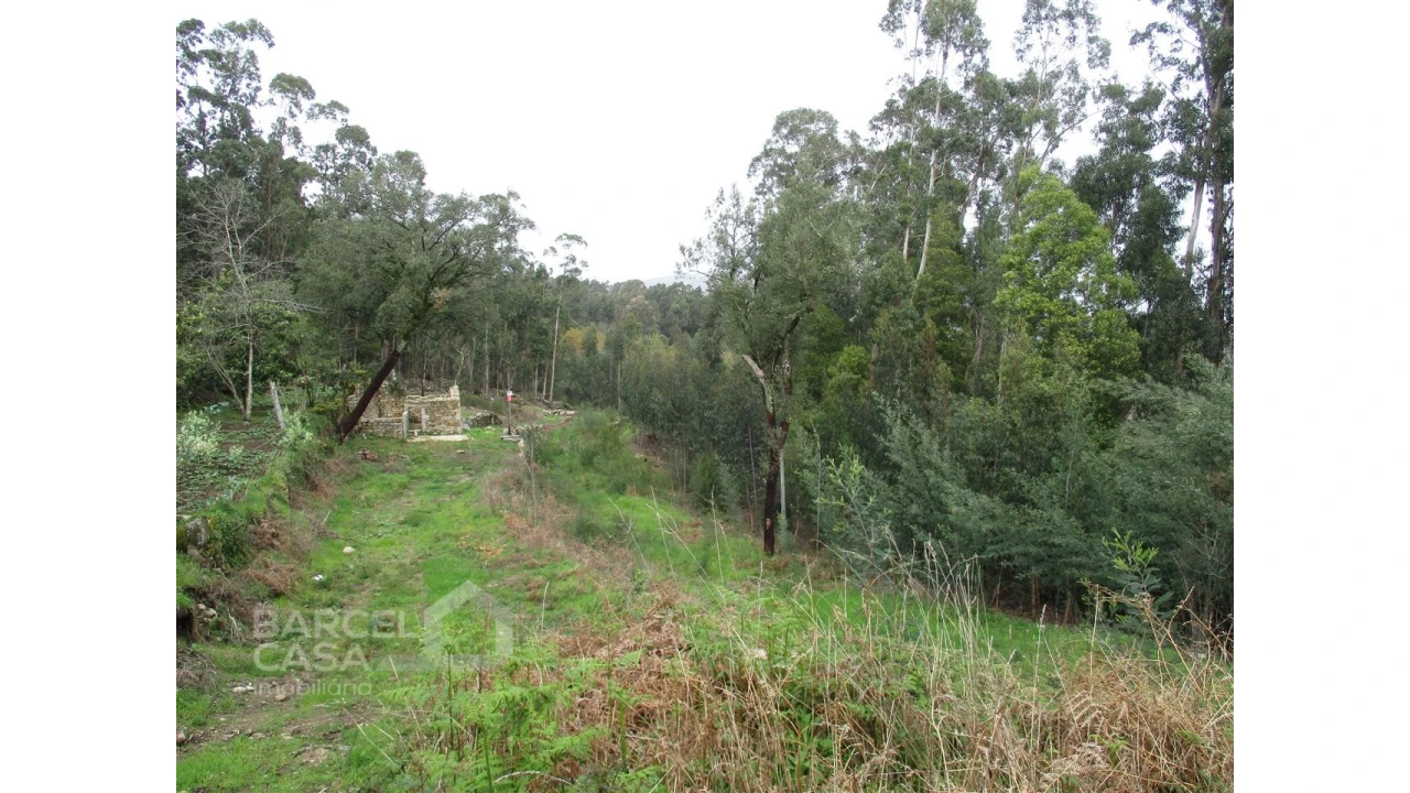 Terreno para Venda em Quintiães e Aguiar Foto 2