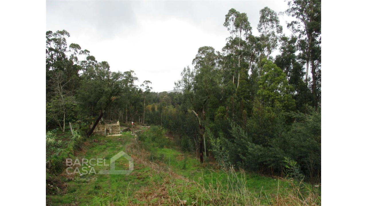 Terreno para Venda em Quintiães e Aguiar Foto 3