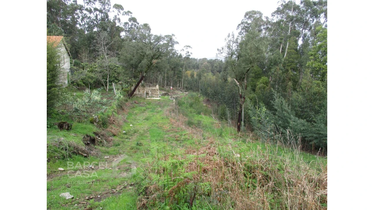 Terreno para Venda em Quintiães e Aguiar Foto 4