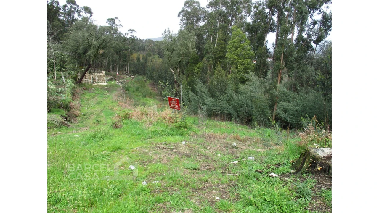 Terreno para Venda em Quintiães e Aguiar Foto 6