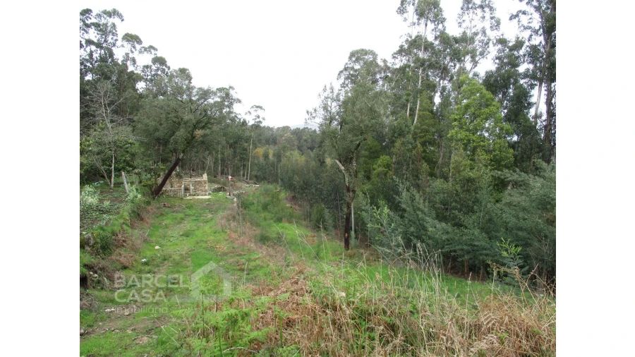 Terreno para Venda em Quintiães e Aguiar Foto 2
