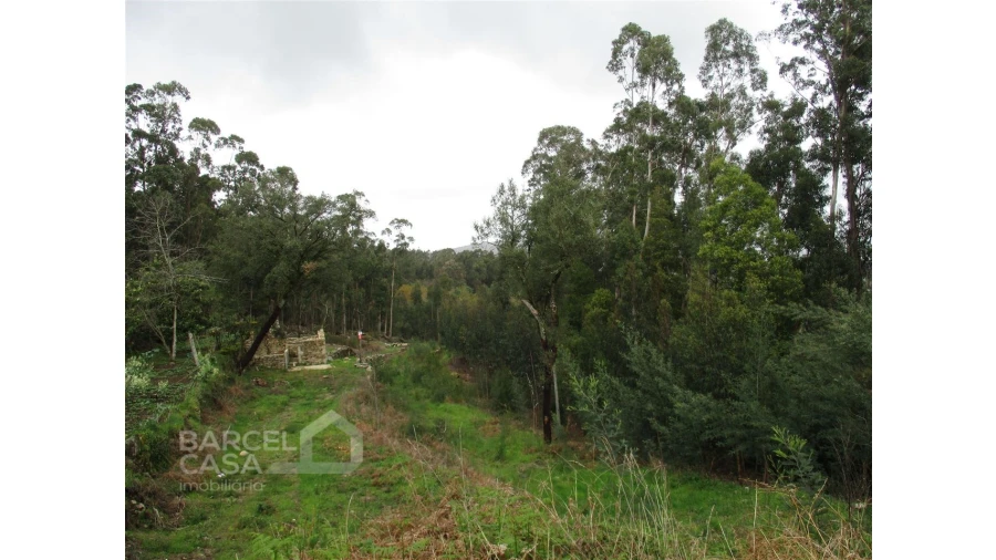 Terreno para Venda em Quintiães e Aguiar Foto 3