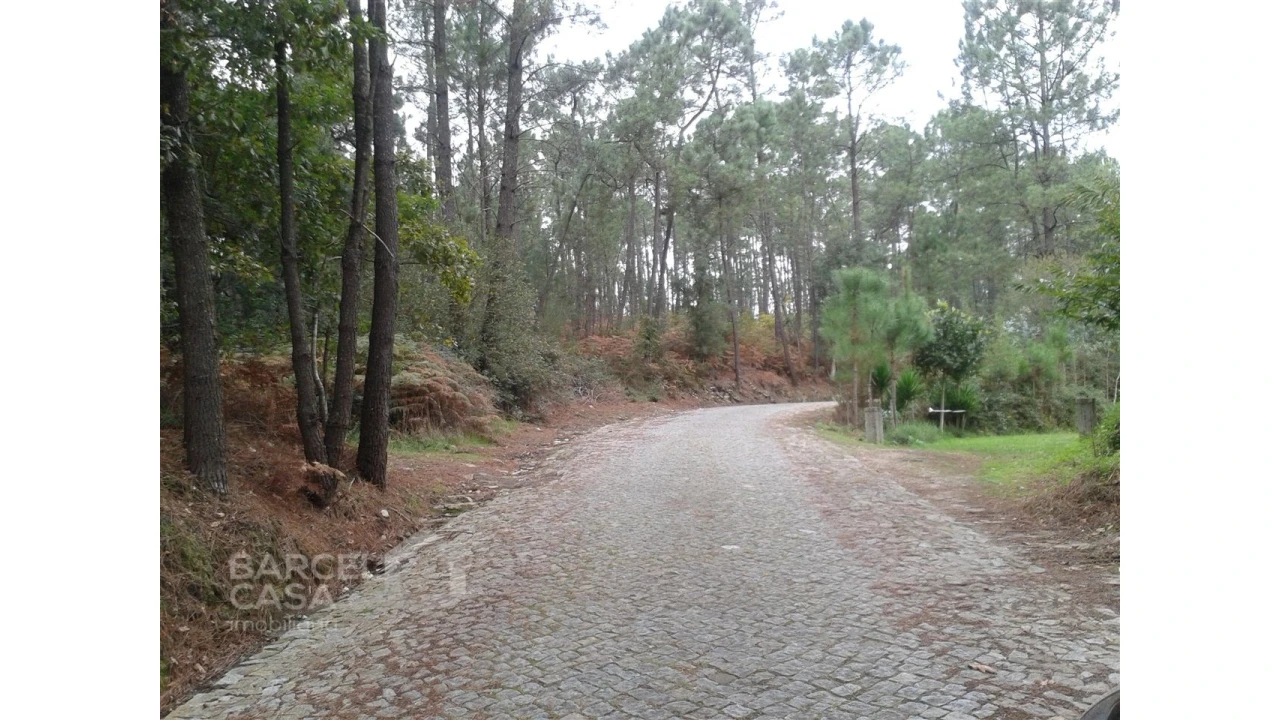 Terreno Agricola ou Rústico para Venda em Creixomil e Mariz Foto 1