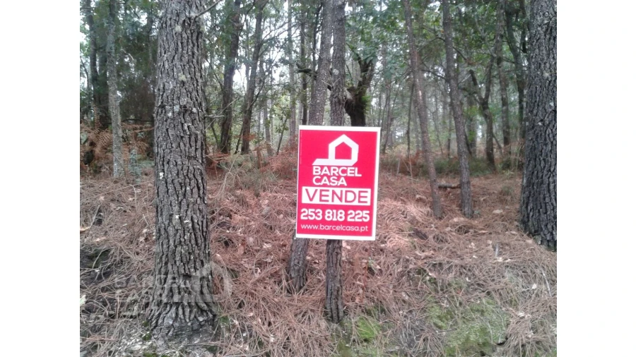 Terreno Agricola ou Rústico para Venda em Creixomil e Mariz Foto 3