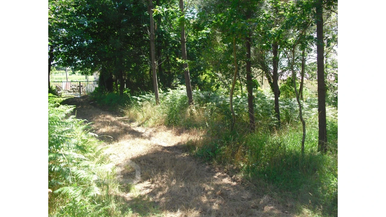 Terreno para Venda em Perelhal Foto 8