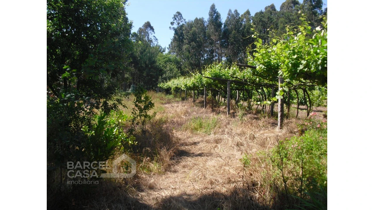 Terreno para Venda em Perelhal Foto 10