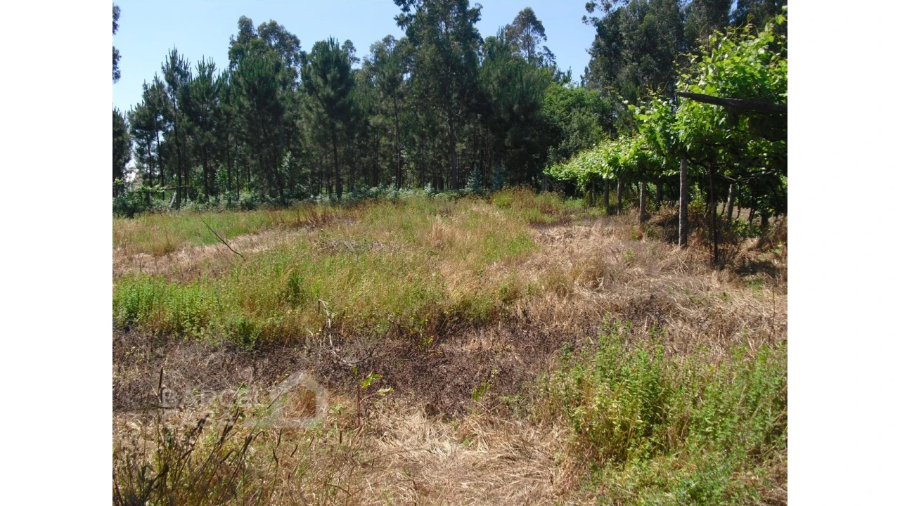 Terreno para Venda em Perelhal Foto 11